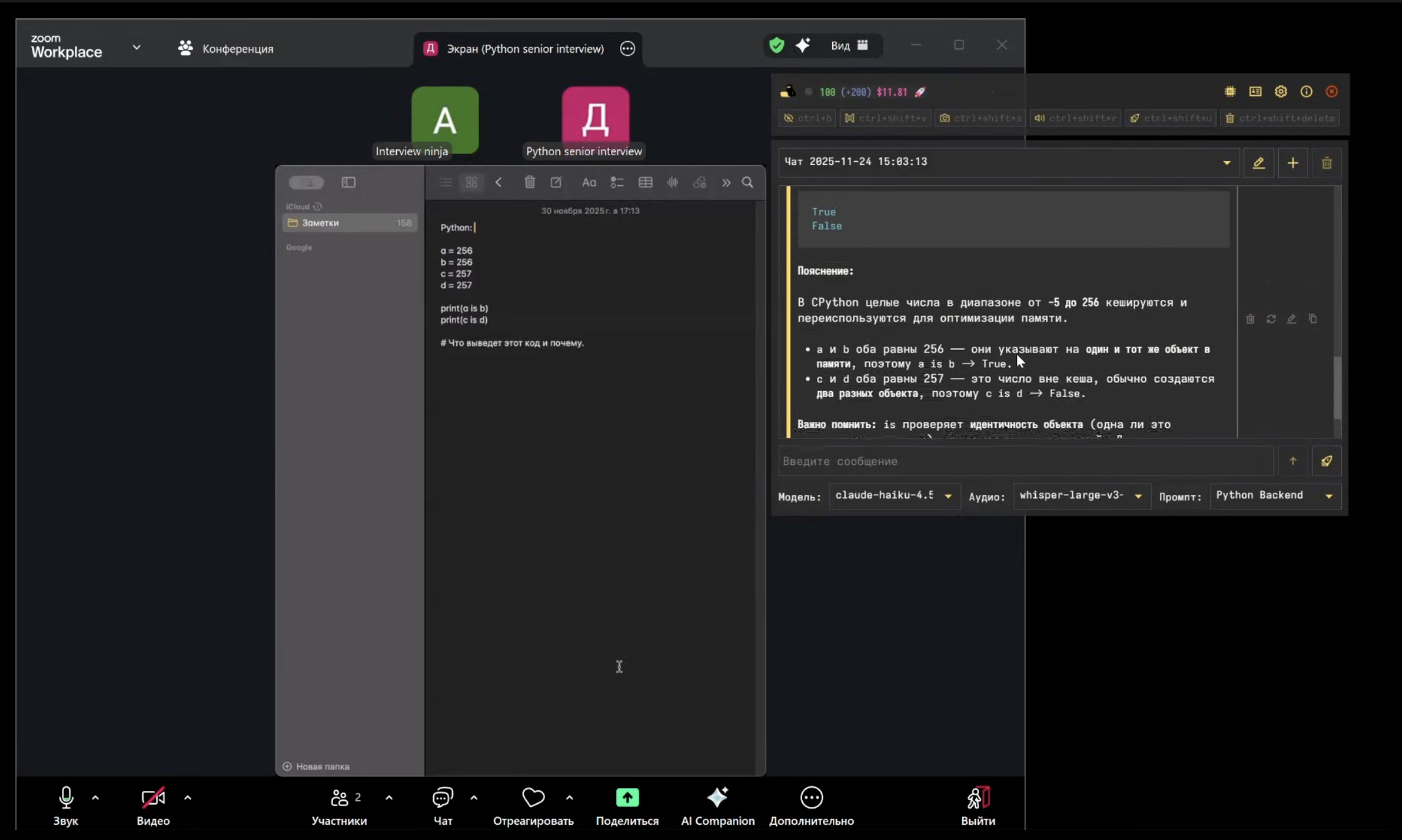 Interview Ninja screenshot 3