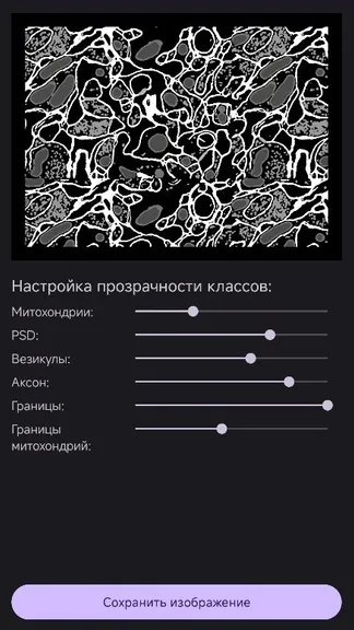 Скриншот 3/5