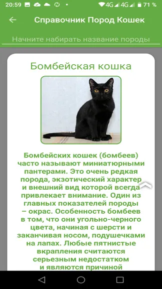Скриншот 2/6