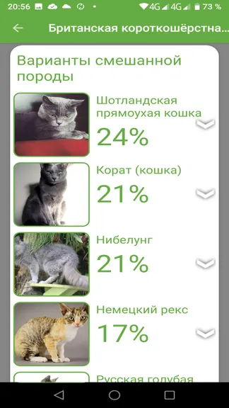 Скриншот 4/6