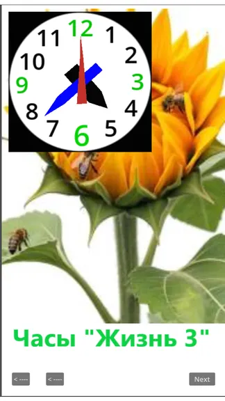 Скриншот 3/3