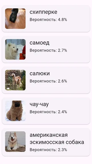 Скриншот 2/3