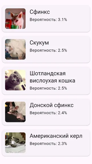Скриншот 3/3