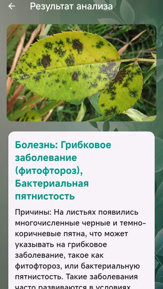 Скриншот 5/5