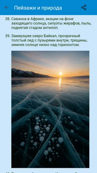 Скриншот 5/8