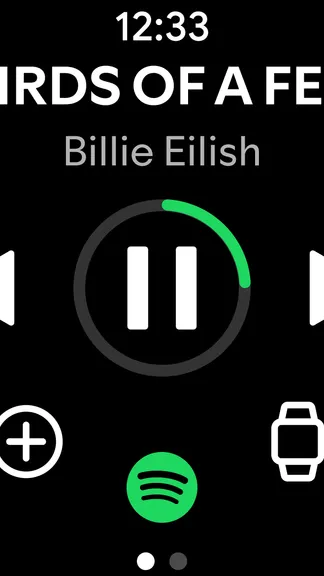 Spotify screenshot 8
